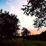 Keith Crossley - @crossley8460 - Instagram