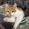 KeithZiger - @keithziger - TikTok
