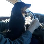 Keith Darden - @keesedonkey - Instagram