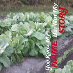 Keith Darden - Facebook