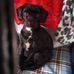 Keith Dearing - Facebook