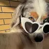 Keith Candido - @keithcandido - TikTok