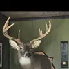 Keith Deloe - @keithdeloe - TikTok