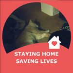 Keith Delong - @veteran4you - Instagram