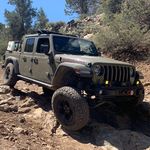 Keith DeLuca - @allosaurusjt - Instagram