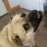 keith - @keith.devose - Instagram