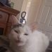Keith Devries - Facebook