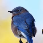 Keith Dickey - @kdickey1962 - Instagram