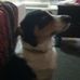 Keith Dingman - Facebook