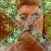 Kenneth Dippel - @kenneth.dippel - TikTok