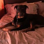 Keith Domingue - @keithdomingue1 - Instagram