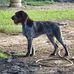 Keith Doss - Facebook