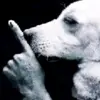 keith - @keithfd - TikTok