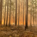Keith Driggers - @forestfirefighter2022 - Instagram