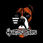 Keith Driskell - @heart_of_strays - Instagram