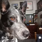 Keith Dubay - Facebook