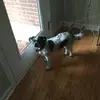 keitheadyatl - @keitheadyatl - TikTok