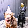 Keith Earnest - @keith.earnest - TikTok