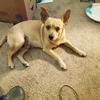 Keith Edney786 - @keithedney786 - TikTok