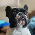 Keith Edney - @edney_keith - Instagram