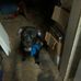 Keith Effinger - Facebook