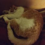 keith eggleston - @eggleston.keith - Instagram