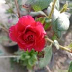 Keitha Urrutia - Facebook
