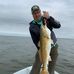 Keith Ellery - Facebook