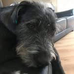 Keith Elton - @eltonkeith - Instagram