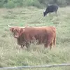 keithepperson759 - @keithepperson759 - TikTok