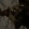 Keith/Anissa - @keitherboi - TikTok
