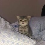 Ashley Keith Escobar - @ashleykeithescobar - Instagram