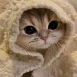 zZkitty - @espejokeithangel - Instagram