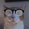 KeithEvans - @keithevans584 - TikTok