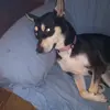 keithevel795 - @keithevel795 - TikTok