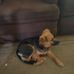 Keith Fair - Facebook