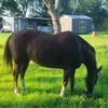 Keith Filer659 - @keithfiler659 - TikTok