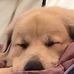 Keith Fleming - Facebook