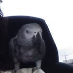 Keith Flora - @k.flora80 - Instagram