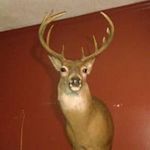 Keith Fogle - @keith.fogle - Instagram