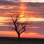 Keith Fogle - @fogle_keith - Instagram