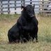 Keith Fraser - Facebook