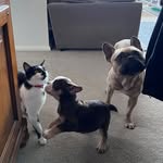 keithfredpam - @keithfredpam - Instagram