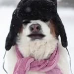 Keith - @keithfuselier386 - Instagram
