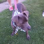 keith gambrell - @keithgambrell73 - Instagram