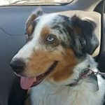 Keith Gass - @gasskeith - Instagram