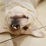 Keith Geddes - @ke.ith9881 - Instagram