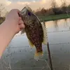 Keith Gilbert - @keith.gilbert7 - TikTok