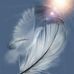 Keith Gini - Facebook