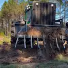 Keith Ginn 🌲 🪵 - @ginnforestproducts - TikTok